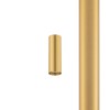 CAMELEON FOURTY brass S 11215 Nowodvorski