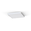 SOFT LED white 60x60 7544 Nowodvorski