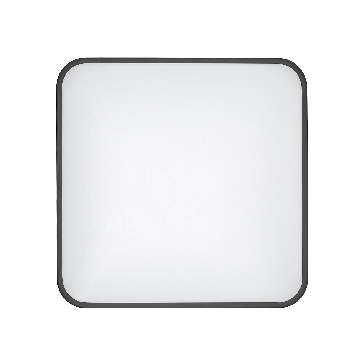 AGNES SQUARE LED PRO black M 3000K 10985 Nowodvorski